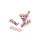 もふもふぅちゃん♡（個別スタンプ：12）