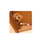 もふもふぅちゃん♡（個別スタンプ：14）