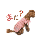 もふもふぅちゃん♡（個別スタンプ：21）