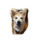 Mあずき（個別スタンプ：4）