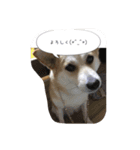 Mあずき（個別スタンプ：5）