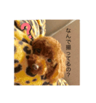 愛犬しょこちゃん（個別スタンプ：2）