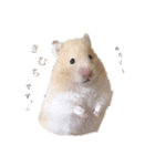 どうも、きむちです。（個別スタンプ：6）
