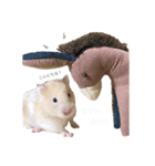 どうも、きむちです。（個別スタンプ：12）