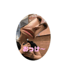 あきたぴのスタンプ（個別スタンプ：8）