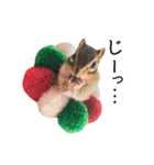 しまりすらいふ。2（個別スタンプ：17）