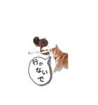 名犬アキナと娘。（個別スタンプ：2）