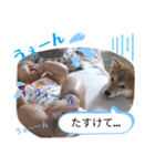 名犬アキナと娘。（個別スタンプ：6）