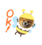 むぎむぎびよりすたんぷ（個別スタンプ：1）