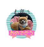 むぎむぎびよりすたんぷ（個別スタンプ：8）