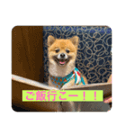 むぎむぎびよりすたんぷ（個別スタンプ：10）