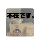 ハムスターのべーちゃんスタンプ（個別スタンプ：8）
