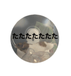 ハムスターのべーちゃんスタンプ（個別スタンプ：10）