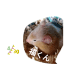 福くんのスタンプVer．1（個別スタンプ：1）