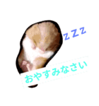 福くんのスタンプVer．1（個別スタンプ：5）