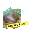 福くんのスタンプVer．1（個別スタンプ：6）