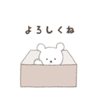 箱入りくまさん（個別スタンプ：18）