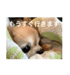 たまごかけごはんとみりん（個別スタンプ：2）