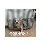 たまごかけごはんとみりん（個別スタンプ：4）