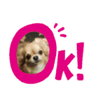 たまごかけごはんとみりん（個別スタンプ：7）