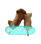 たまごかけごはんとみりん（個別スタンプ：10）
