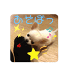 たまごかけごはんとみりん（個別スタンプ：15）