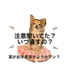 たまごかけごはんとみりん（個別スタンプ：17）