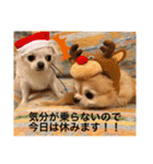 たまごかけごはんとみりん（個別スタンプ：22）