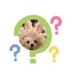 たまごかけごはんとみりん（個別スタンプ：23）