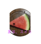 海好きさん（個別スタンプ：5）