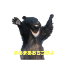bokuwakuma2（個別スタンプ：2）