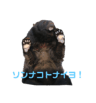 bokuwakuma2（個別スタンプ：7）