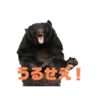 bokuwakuma2（個別スタンプ：10）
