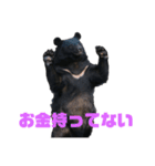 bokuwakuma2（個別スタンプ：13）