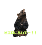 bokuwakuma2（個別スタンプ：15）