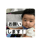 晴架と愉快な仲間たち（個別スタンプ：11）