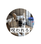 ブチコロスタンプ No.3（個別スタンプ：35）