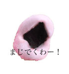 くわー！（個別スタンプ：3）