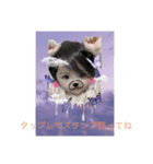 小谷家専用スタンプ（個別スタンプ：7）