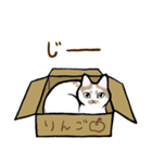 ねこすたんぷ。【ふーちゃん】（個別スタンプ：18）