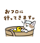 ねこすたんぷ。【ふーちゃん】（個別スタンプ：24）