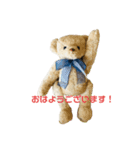 メープルテディ（個別スタンプ：1）