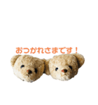 メープルテディ（個別スタンプ：2）