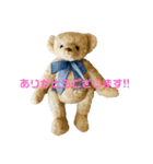 メープルテディ（個別スタンプ：5）