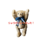 メープルテディ（個別スタンプ：6）