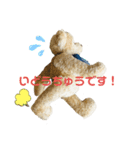 メープルテディ（個別スタンプ：9）