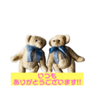 メープルテディ（個別スタンプ：16）