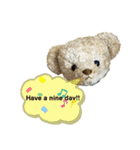 メープルテディ（個別スタンプ：21）