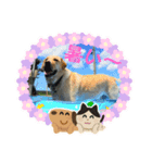 夏のジュラ（個別スタンプ：1）