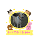 夏のジュラ（個別スタンプ：4）